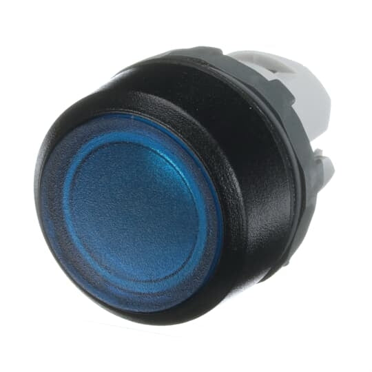 Pushbutton 22mm Illuminated Blue