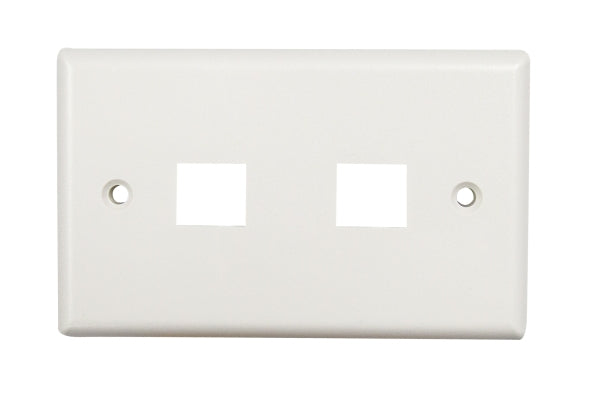 Face Plate Dual Port