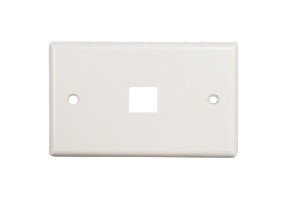 Face Plate Single Port