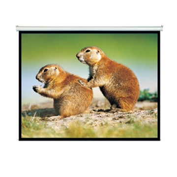 Brateck Projector Screen 150in Manual 4:3