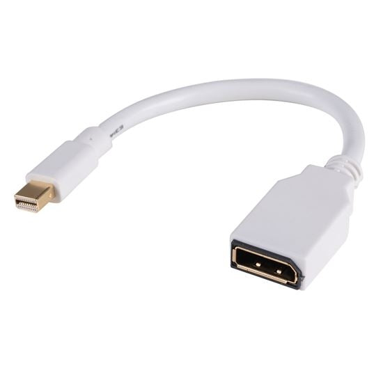 Mini DisplayPort Male to DisplayPort Female Converter 0.2m