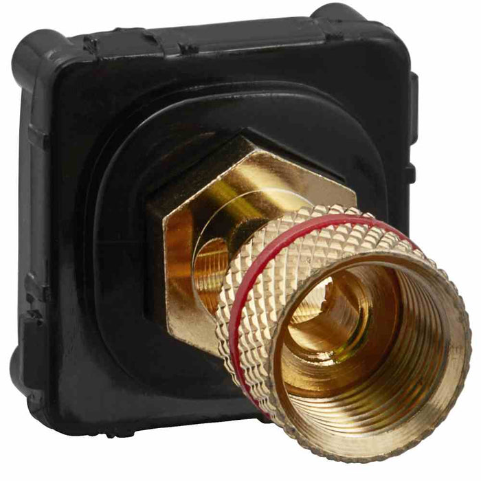 Banana Connector Black Body Black Module