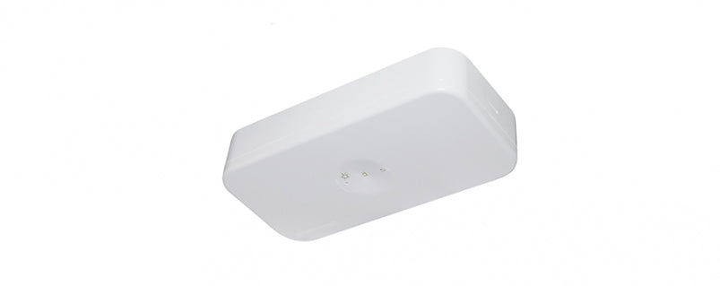 Economy Lifelight LED Surface Mount Lithium White