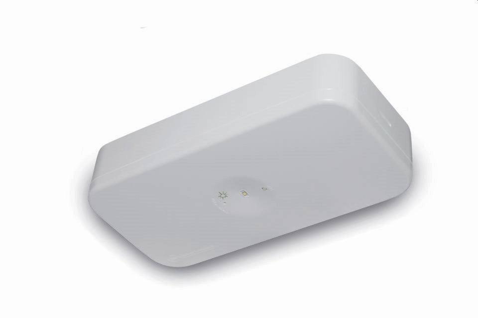 L10 Lifelight PROLED Surface Mnt D80 Plastic Encl Test