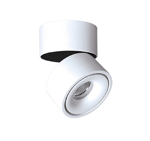 Downlight Single Spot 3k Adjustable White