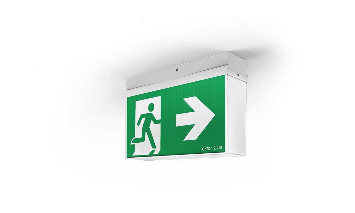 Mercury Basic Emergency Exit Sign