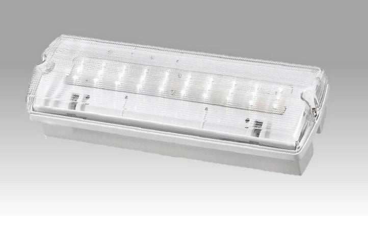 Emergency Light Bulkhead Non Maint/ Maintained IP65