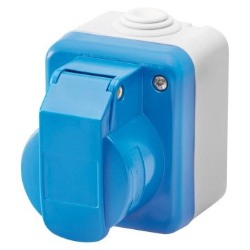 Switch Skt 15A 2P+E IP55 W/P