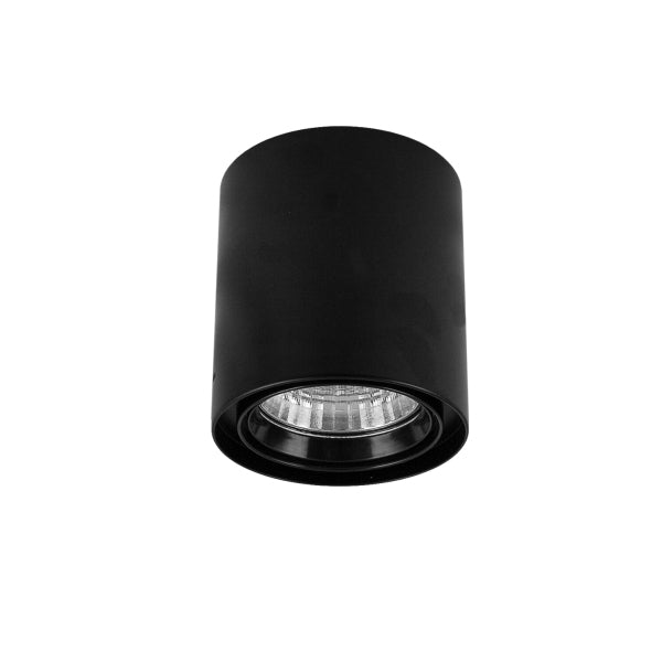 Ceiling Mount Cylinder Dim Driver 13W WW Black
