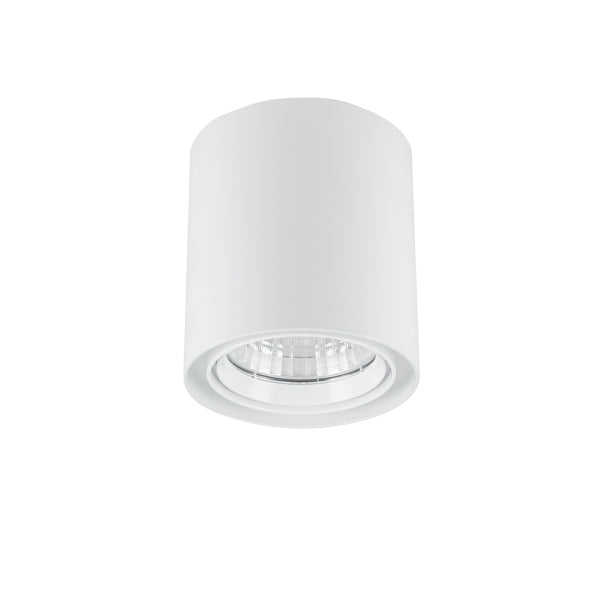 Ceiling Mount Cylinder Dim Driver 13W WW White