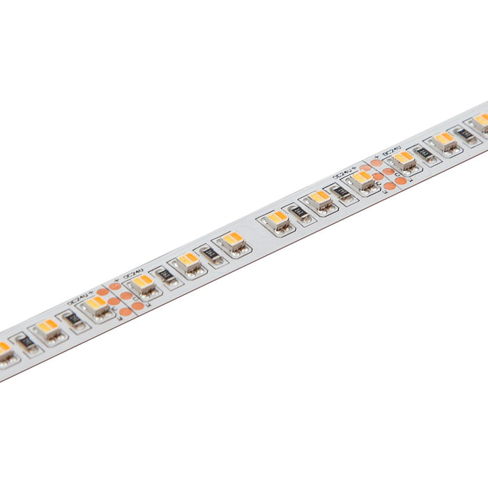 LED Flexi Tape 10mm 20W 120/1m 24V Dual Clr (Cut 100mm)