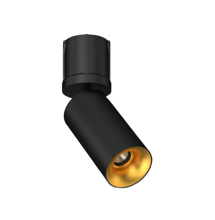 Cevon T19 Dark Art Spot Adj 12W 3k 45Deg Black Gold