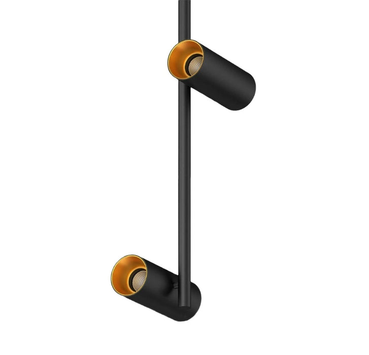 Cevon T30 Spot Adj 2x6.5W 3k 2x 36Deg Black Gold