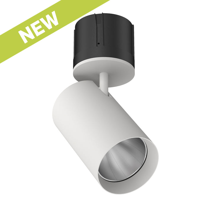 Cevon T21 Spot Adj 24W 4k 700mA 36Deg White