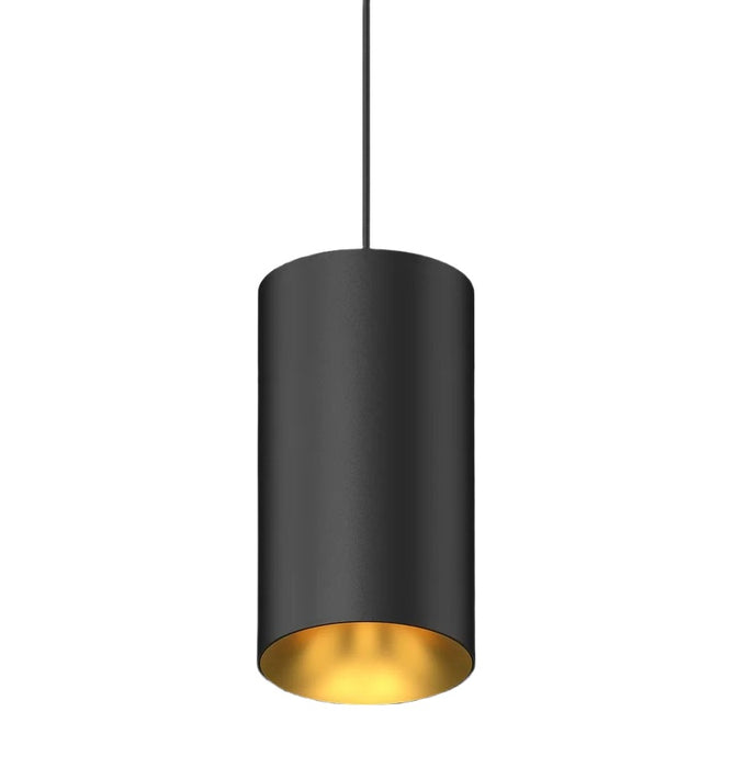 Cevon T23 Dark Art Pendant Spot 17W 3k 45Deg Black Gold