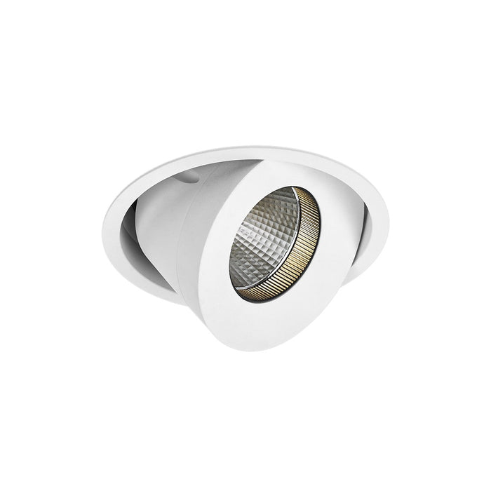 Cevon Round Tilt/Rotate Dim 20W 3K 500mA CC WW 97 White