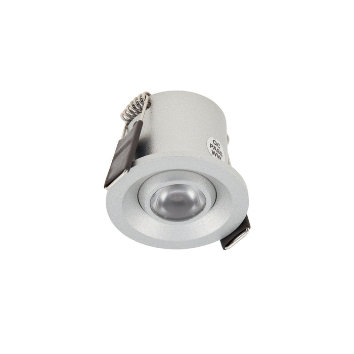 Eyeball 2W 700mA CC WW Silver