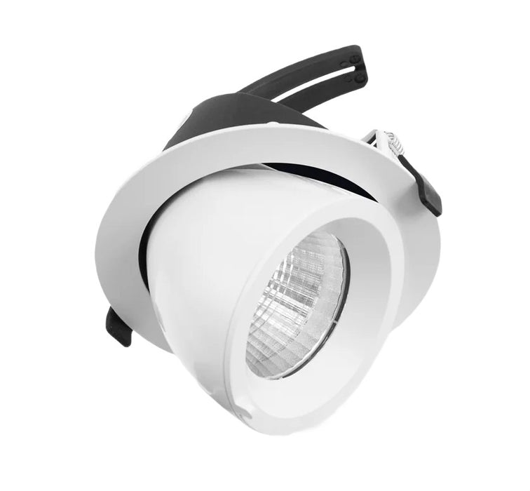 Downlight 70Deg Tilt Rotate 3k 17W White (Less Driver)