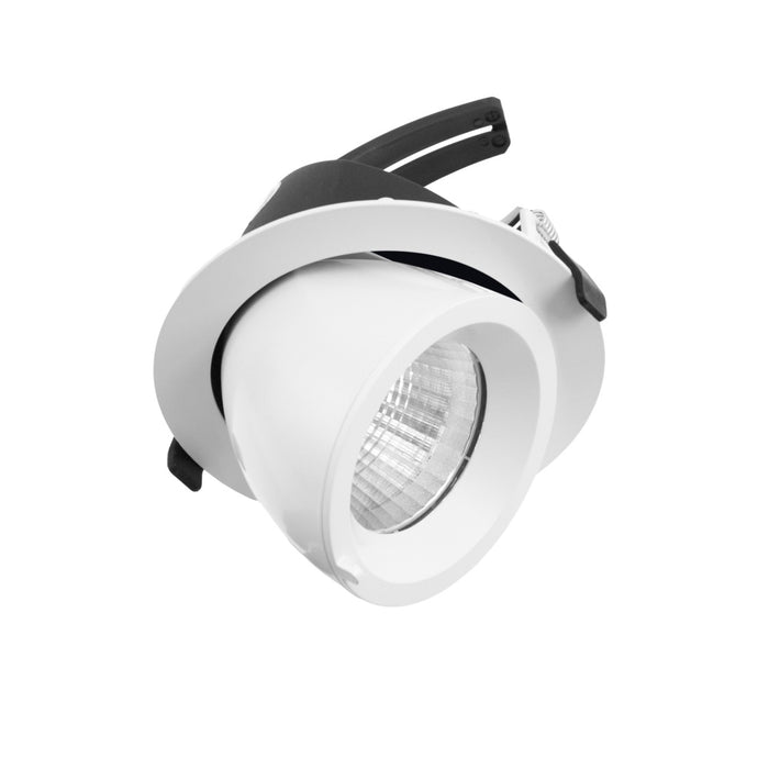 Downlight 45Deg Tilt Rotate CC 25W 700mA NW White