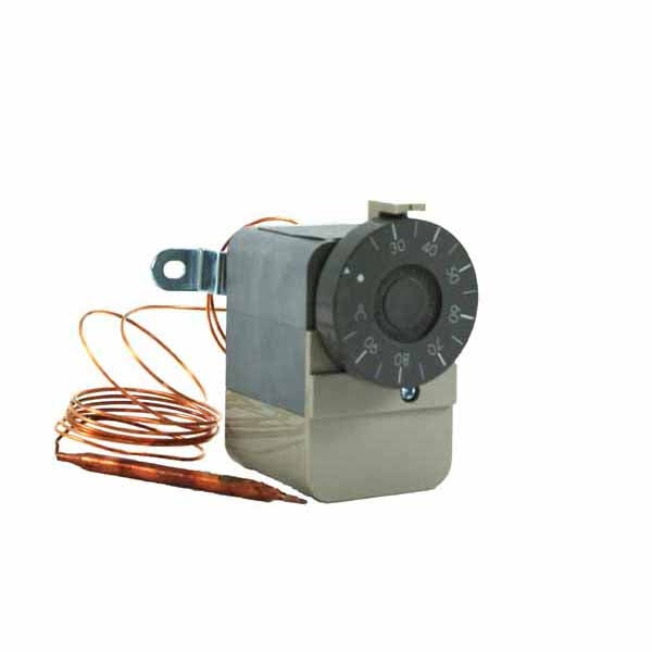 L6188A2028 Aquastat 25-95Deg Remote Mtg