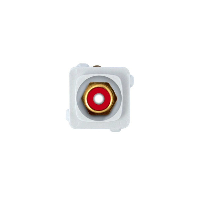 RCA Mech Phono Socket Gold Red Centre/White Body
