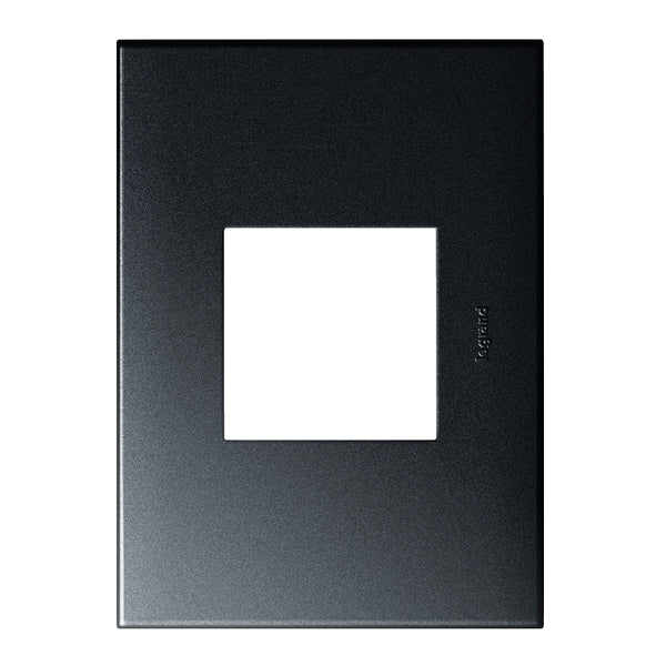 Arteor Plate 2x Sq Module Vert Graphite