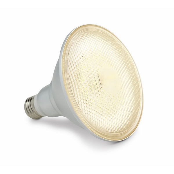 Lamp LED Par38 14W 1100Lm