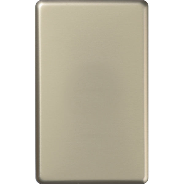 XL Plate Only Blank M/Silver
