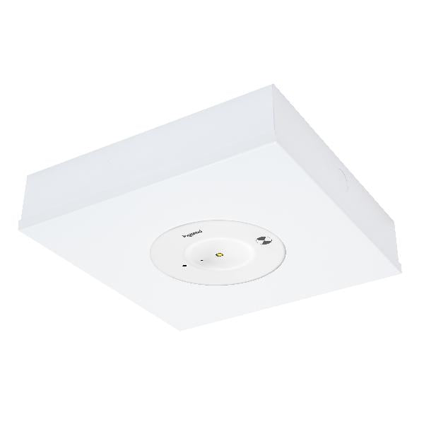 Economy Satellite LED Surface White LI Batt IP20