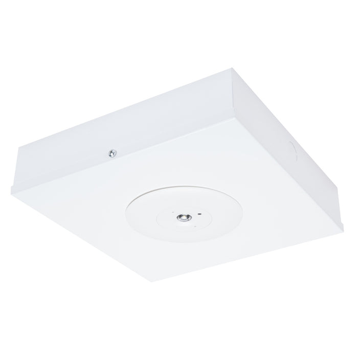 Satellite LED D50 Surface White Li Batt