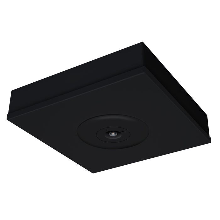 Satellite LED D50 Surface Black Li Batt