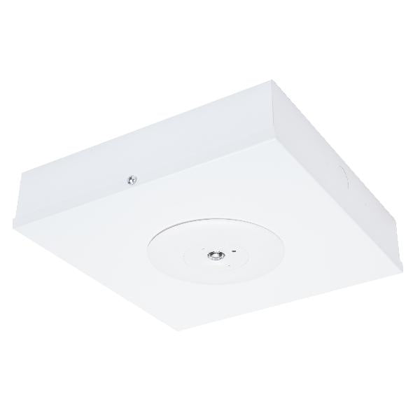 Axiom Satellite LED D50 Surface White Li Batt