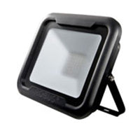 Remy Floodlight LED 30W 4K IP65 Black & 1m Flex