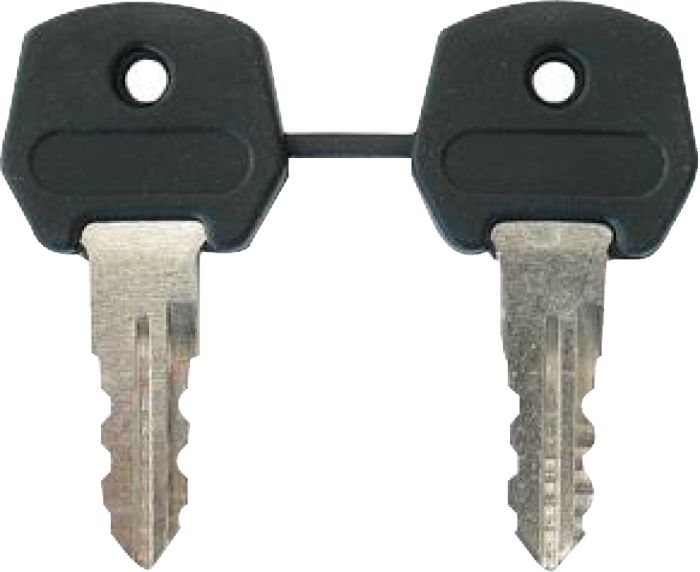 Spare Key Set 3825 Standard (2 Keys)