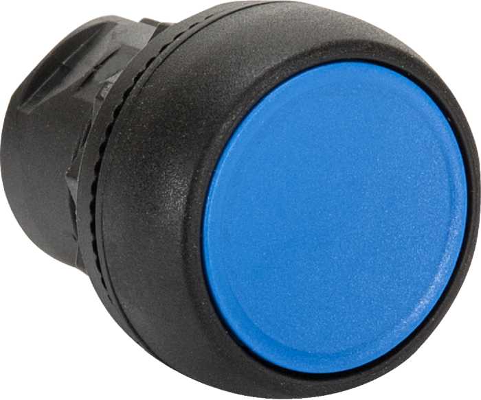 800F Pbutton Plastic Flush Blue Reset