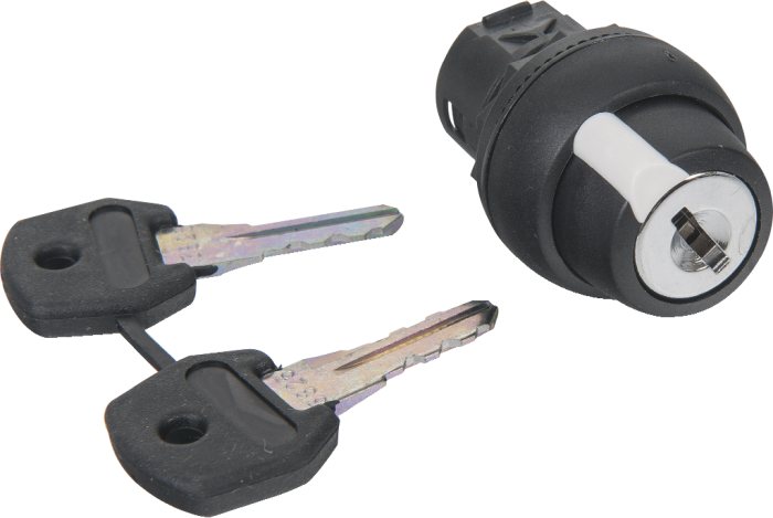 800F Key Switch 2Pos Plastic Key Out Left