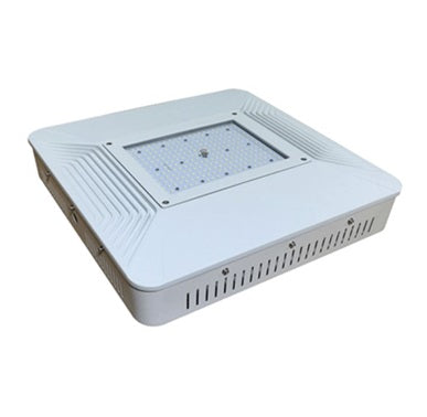 Plymouth II Canopy Light Power Select CCT3 IP65 White