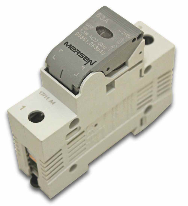 NEOCUR1 Fused Switch 1P with 63A Fuse