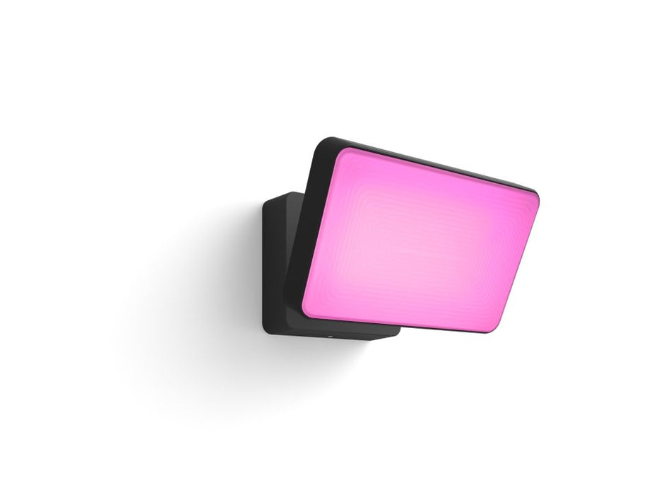 Hue Discover Garden Floodlight Black