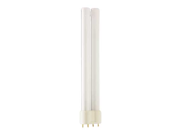 Lamp Master Fluoro PLL 40W 840 2G11 4Pin PLL40W8404P