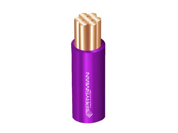 Conduit Wire 6mm Violet