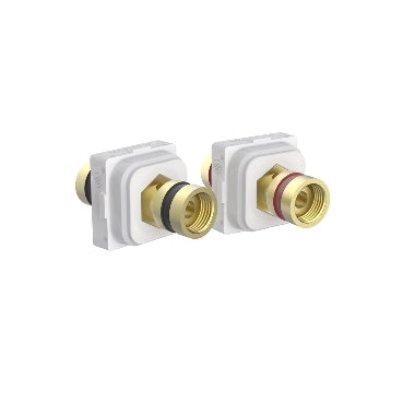 Iconic Module Banana Connector Audio Red & Black