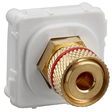 Banana Connector White Body Red Module