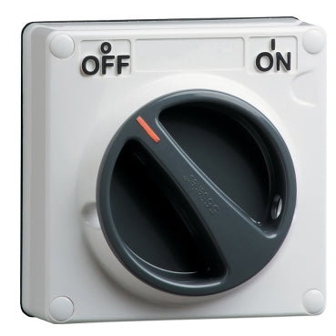 Switch 10A 1P 250V IP66 Grey