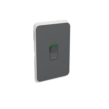 Iconic Cover Plate Skin for 2P 45A Range Sw Anthracite