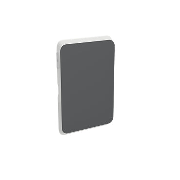 Iconic Cover Plate Skin Blank Vert/Horiz Anthracite