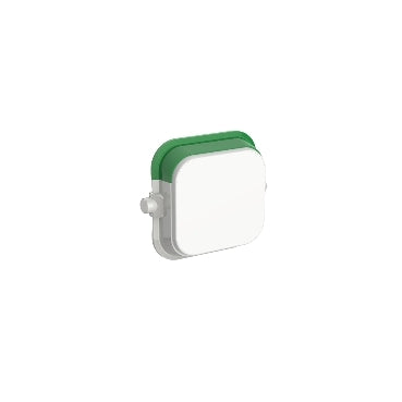 Iconic Dolly Rocker 32A Blank Pk10 White