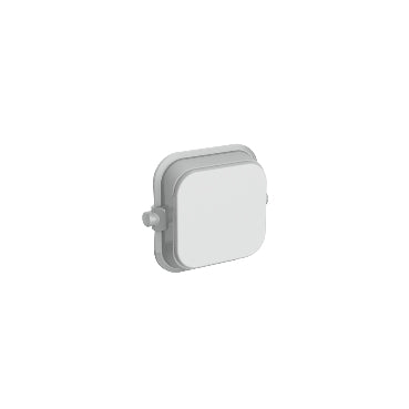 Iconic Dolly Rocker Blank Cool Grey (EA)