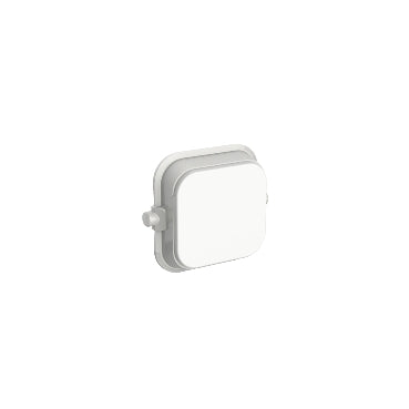 Iconic Dolly Rocker Blank White (Ea)