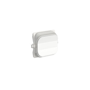 Iconic Dolly Toggle 3Position Blank Pk10 White